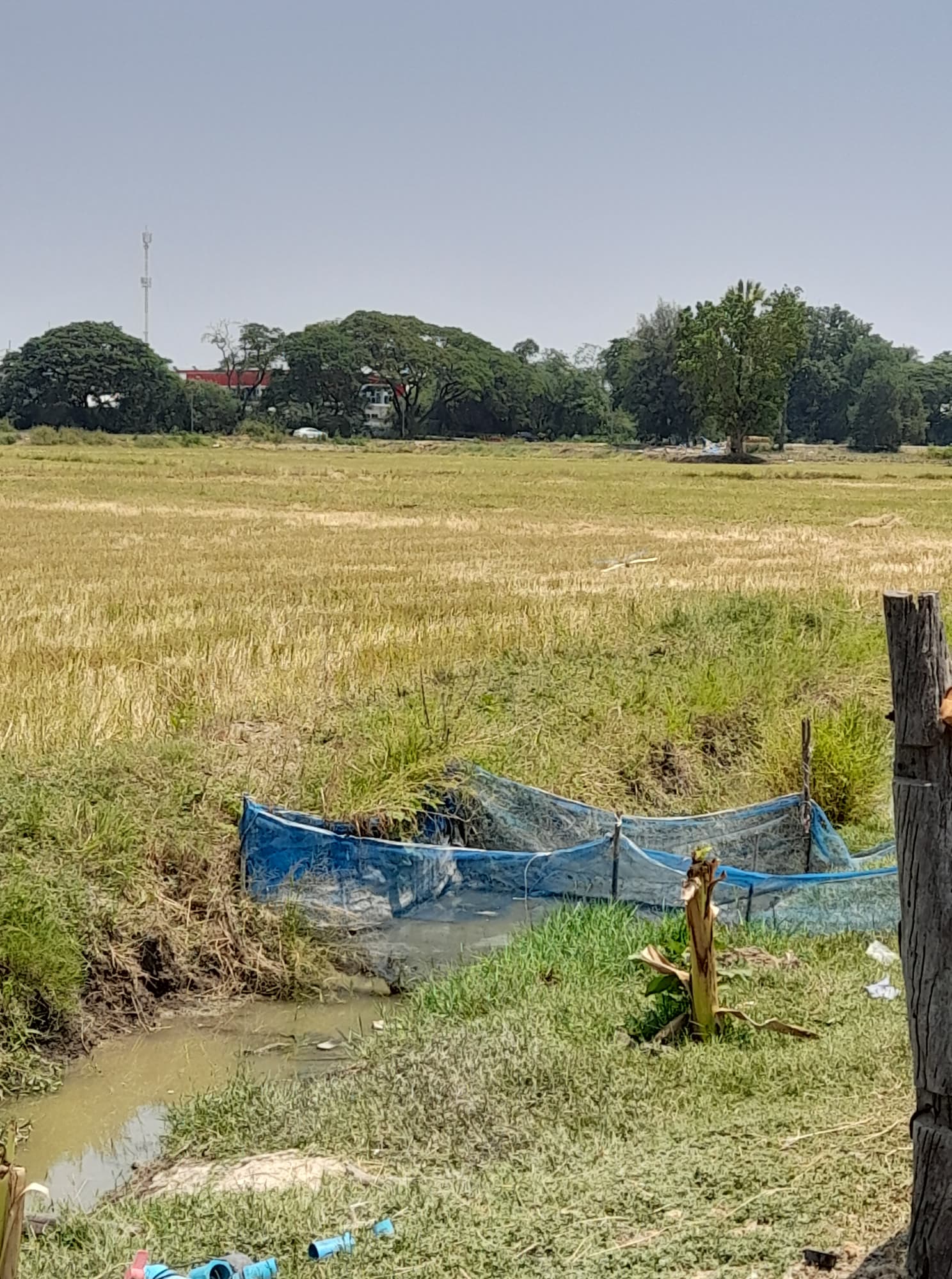 ที่ดินที่นา เมืองราชบุรี 5-2-80