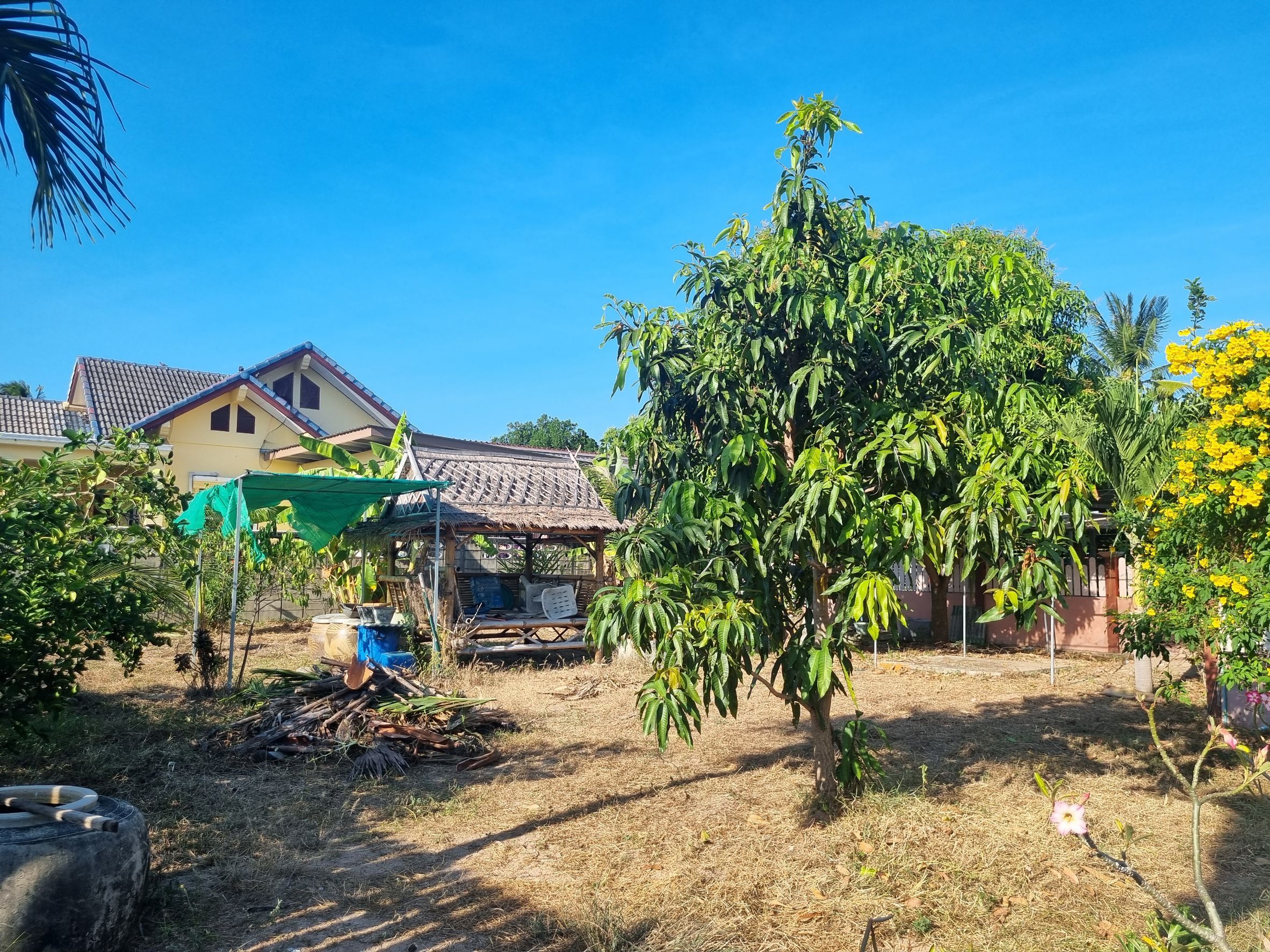 ขายบ้านพร้อมที่ดิน