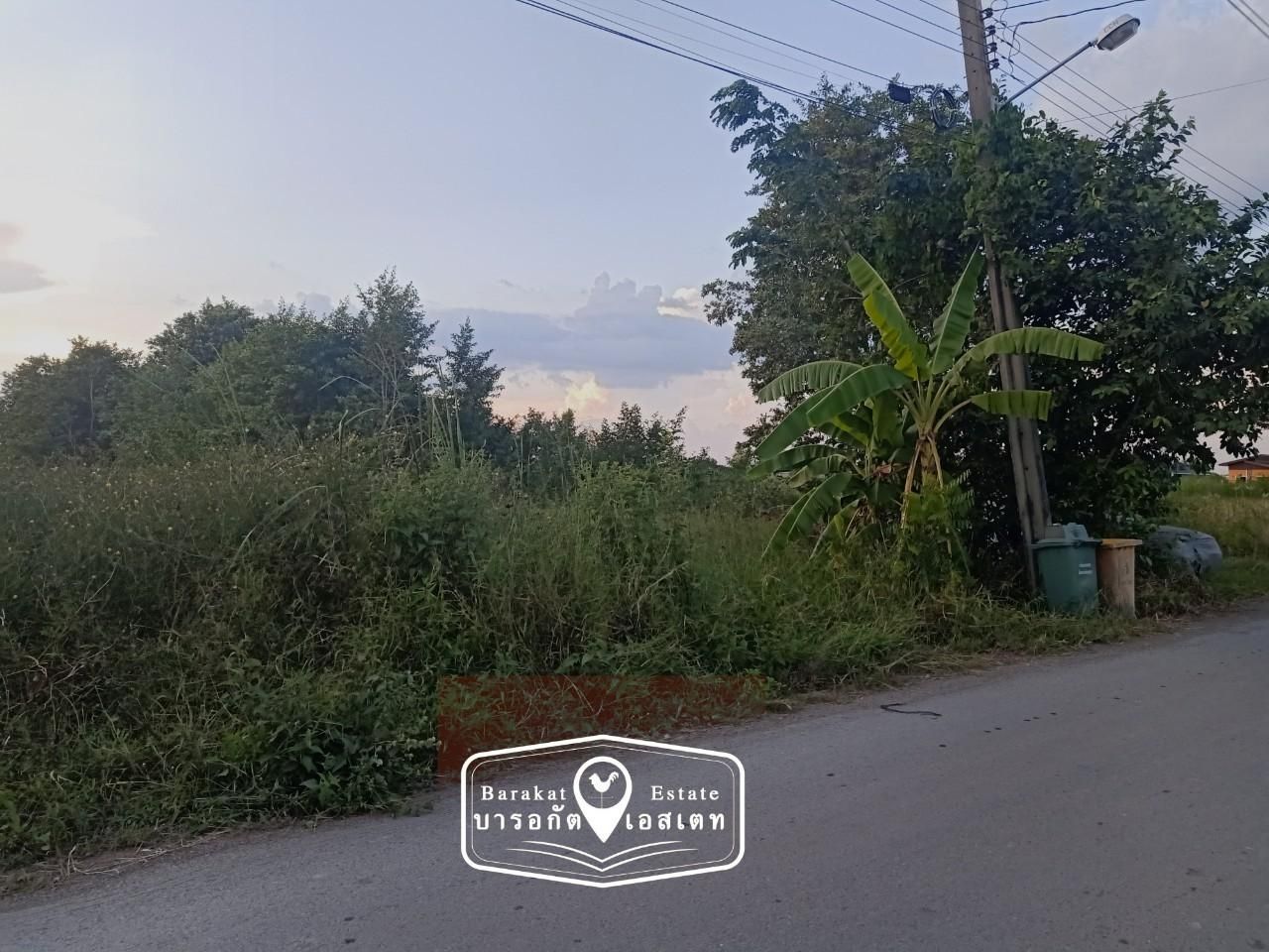 แปลงสวยติดถนนซอย การเดินทางสะดวก สาธารณูปโภคครบครัน เขตหนองจอก จังหวัดกรุงเทพฯ