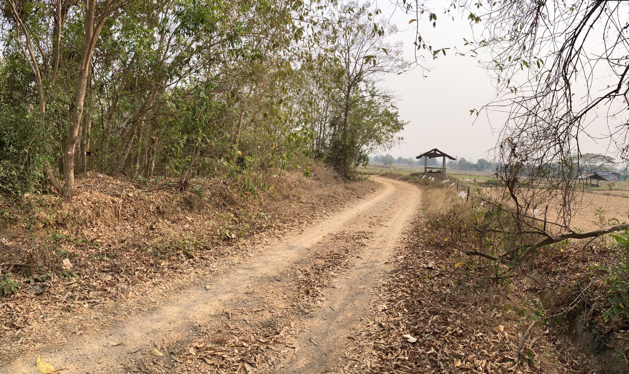 8 ไร่ 1.2 ล้านมีทอน ที่ดินบ้านนาต๋ม ต บ้านกิ่ว อ แม่ทะ ลำปาง