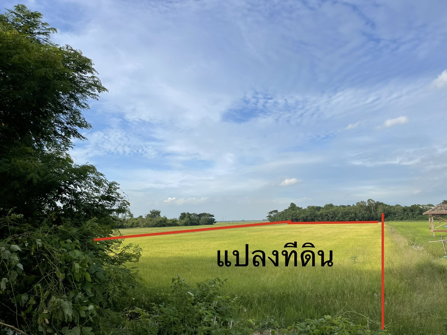 ขายที่ดินสิงห์บุรี เมืองสิงห์บุรี 11-1-79