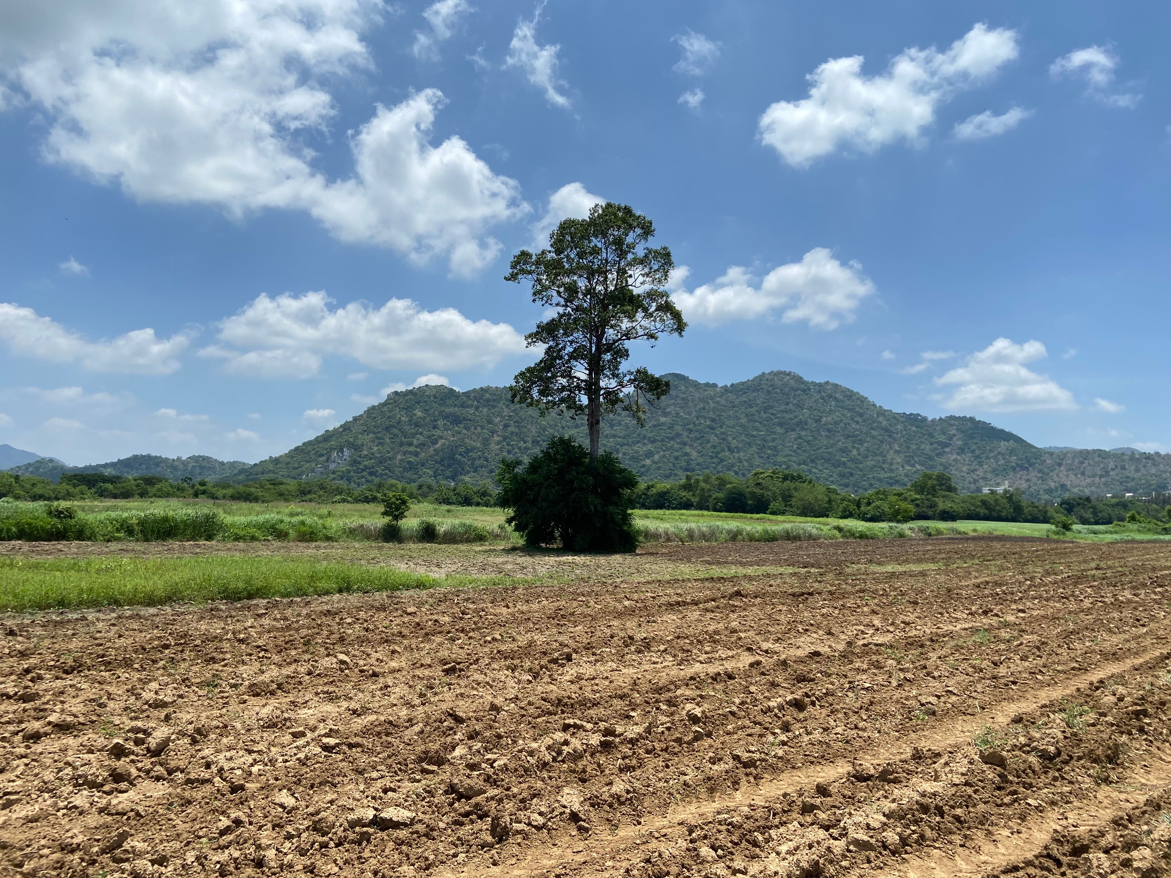 ที่ดินเปล่า วิวเขาใหญ่⛰️