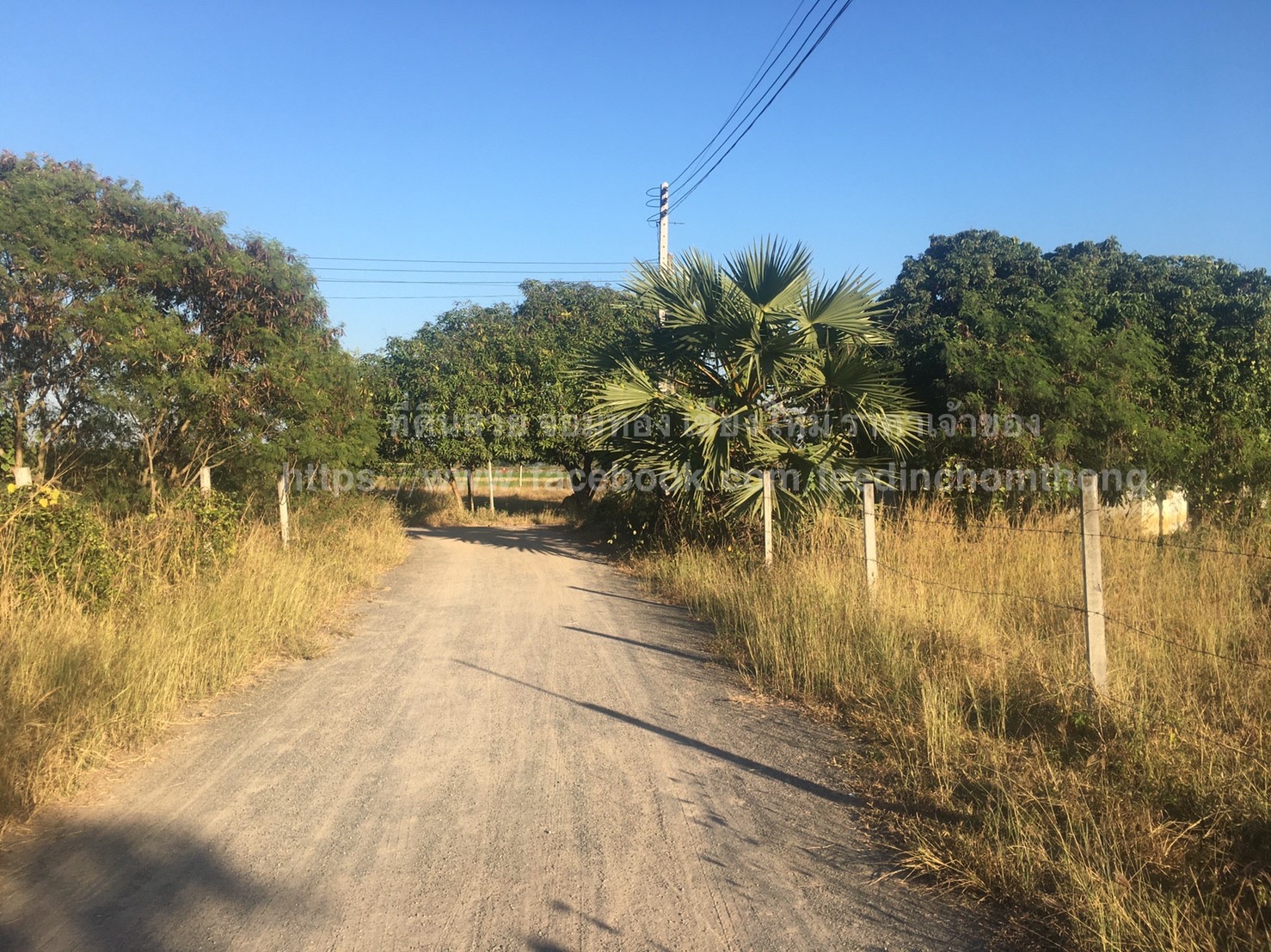 ขายที่ดินเปล่า จอมทอง เชียงใหม่ 164 ตร.ว