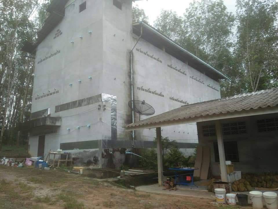 ที่ดินพร้อมสวนมีบ้านพัก กระบี่ 5-1-39.4