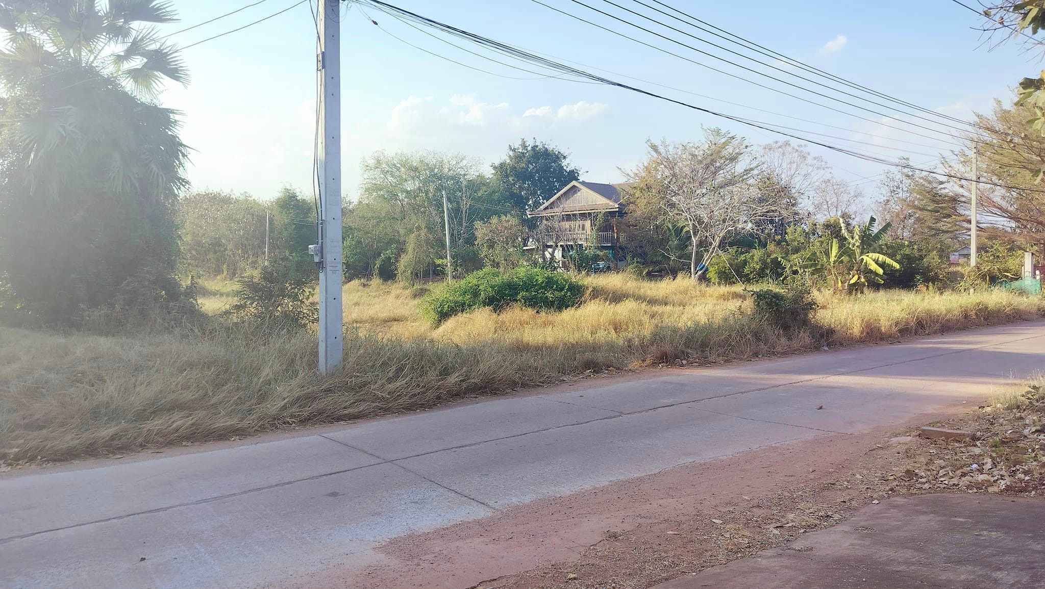 ขายที่ดิน 2 ไร่ บ้านหนองนาแซง