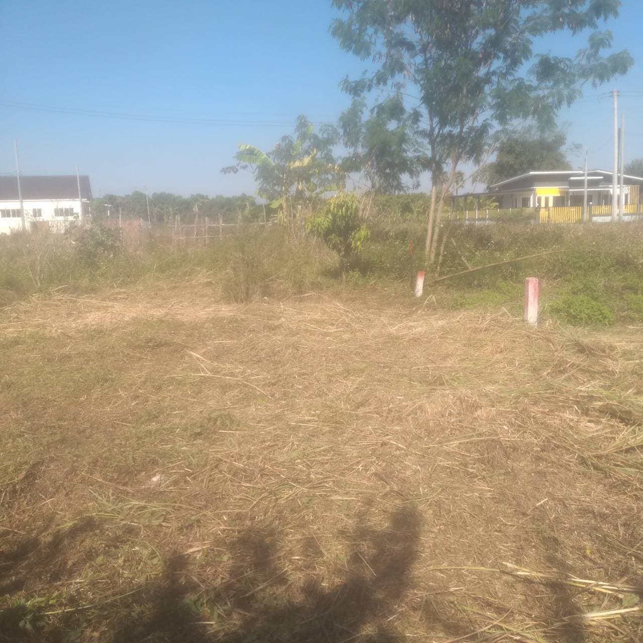 ที่ดินเปล่า2แปลงติด เชียงใหม่  