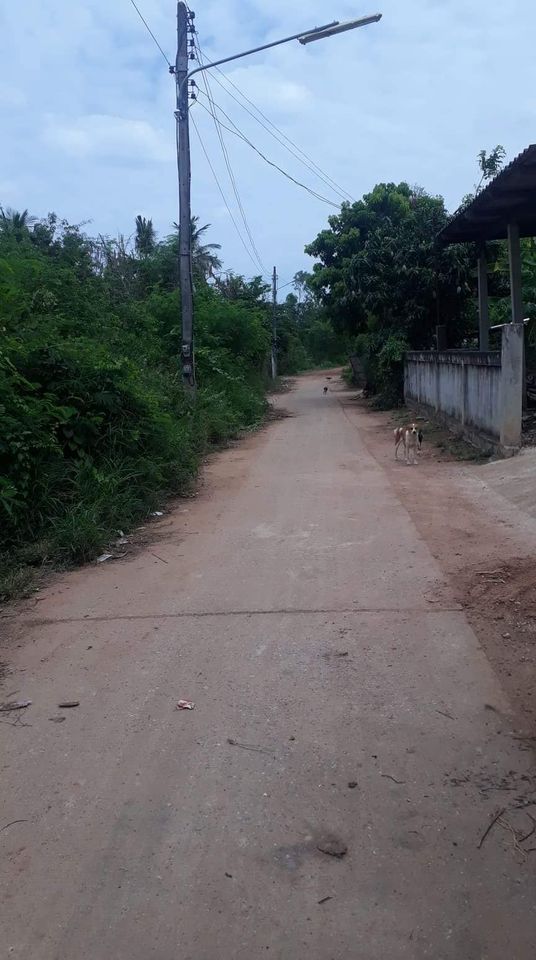 ขายที่ดิน มหาสารคาม 106 ตรว.