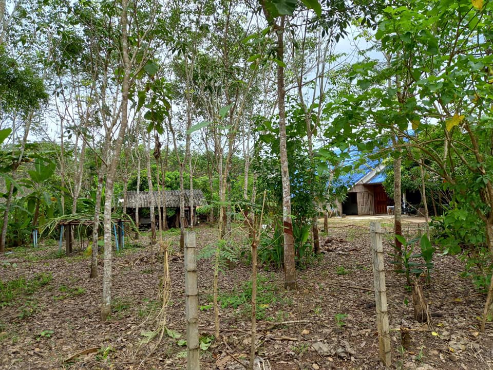 บ้านพร้อมที่ดินแปลงใหญ่ ทองผาภูมิ กาญฯ 10-0-0