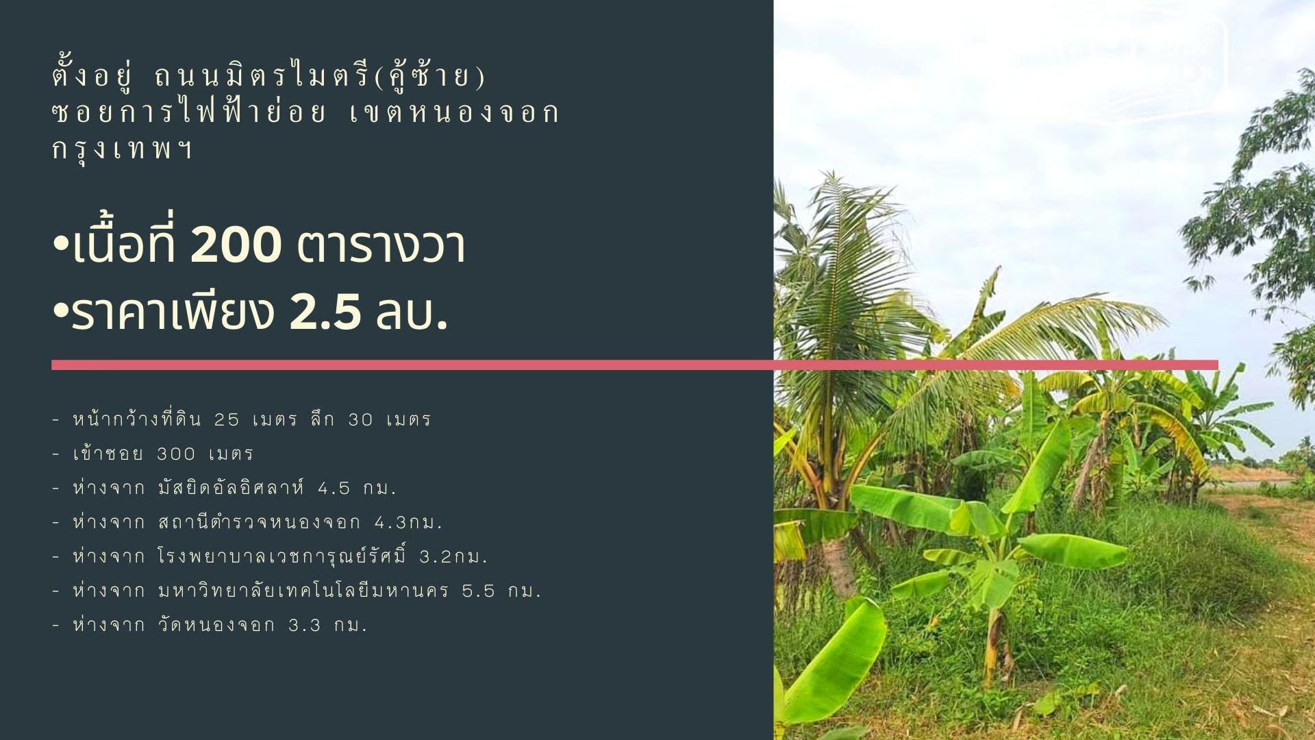 ดินเปล่า 200 ตร.ว.สวยๆ  พิกัด ถนนมิตรไมตรี (คู้ซ้าย)
