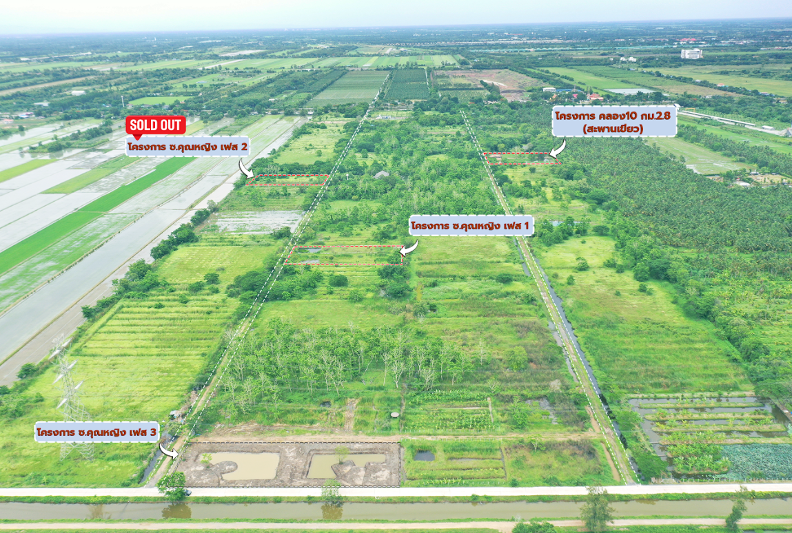 ขายที่ดินปทุมธานี หนองเสือ ที่ดินเปล่ารวม 2 โฉนด คลอง 10 ซอยคุณหญิง เฟส 3 