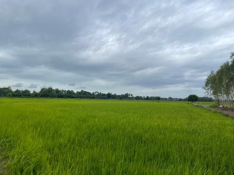ขายด่วน ลดได้