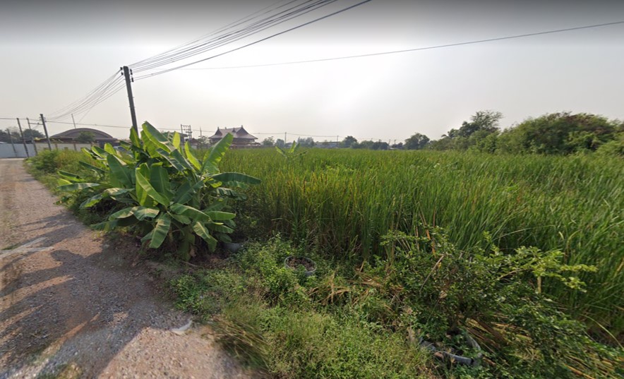 L46 ขายที่ดิน  บ้านเกาะ สมุทรสาคร ทำเลดี สมุทรสาคร 3-3-80