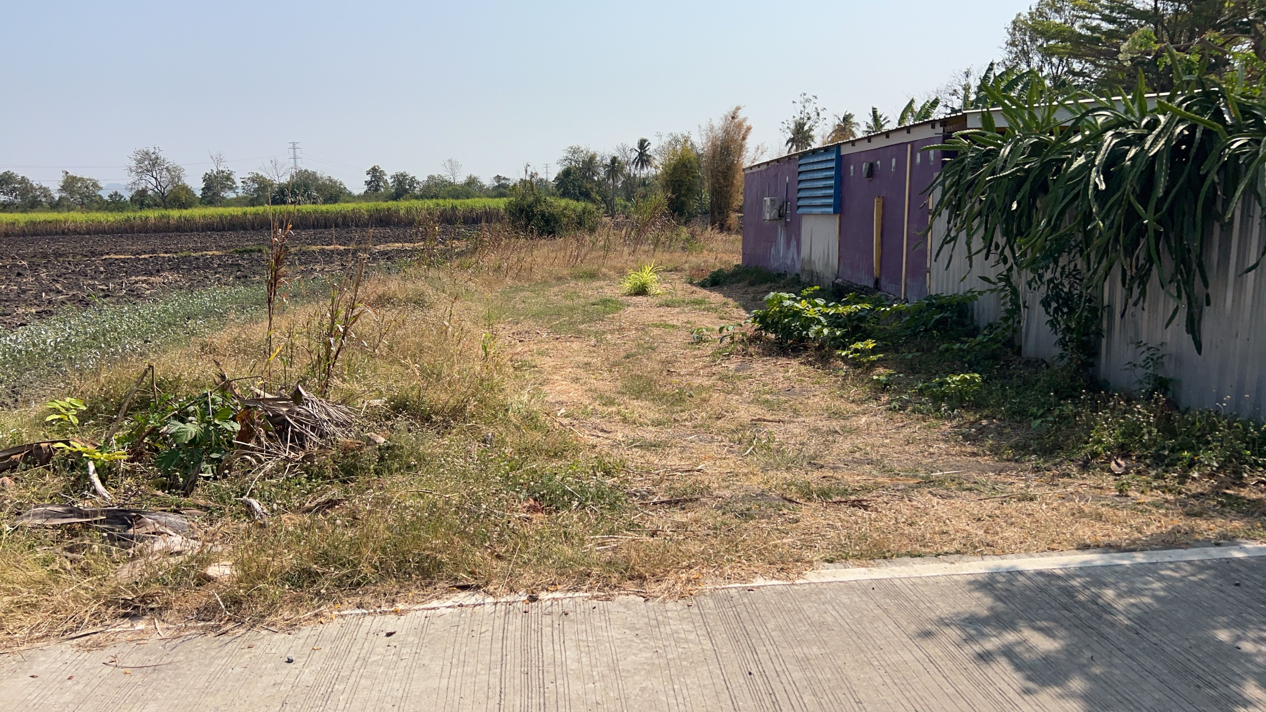 ต้องการขายที่