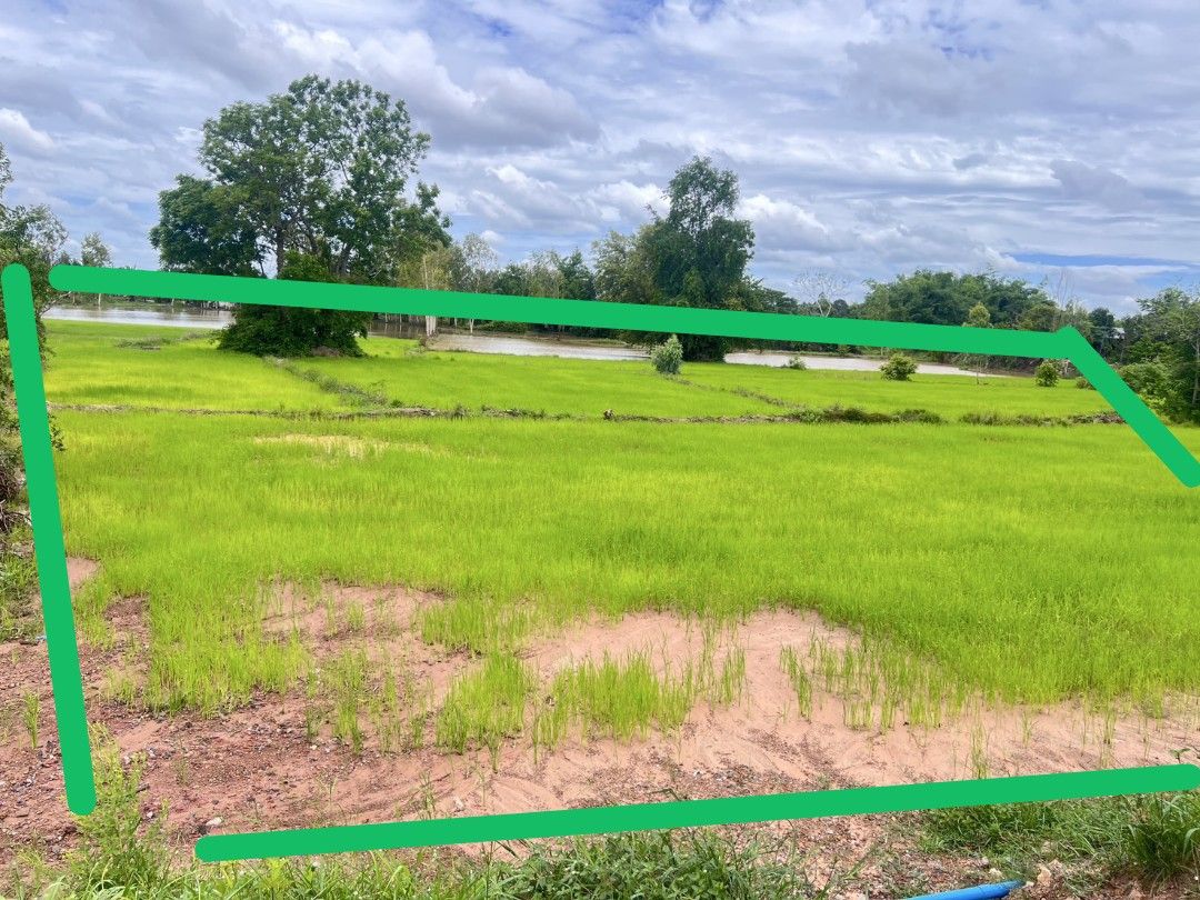 ขายที่ดิน ขุนหาญ ศรีสะเกษ 6-0-51 ไร่