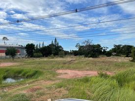 ขายที่ดิน อ.โนนสูง นครราชสีมา 1-0-16 ไร่