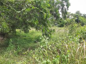 ที่ดิน แปลงสวย ทำเลดี อุดรธานี 1-0-19 