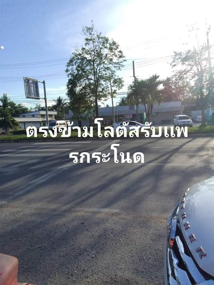 ที่ดินเปล่า สงขลา 0-0-54