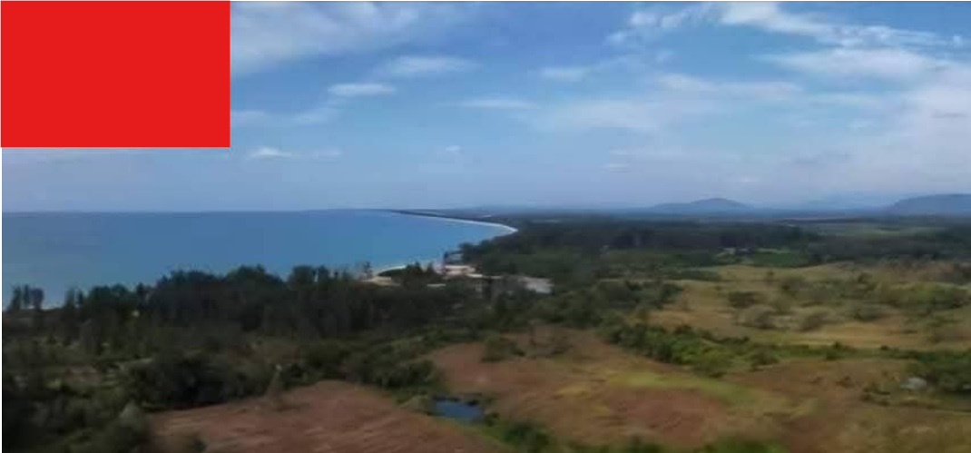 ขายที่ดินใกล้ชายหาดทะเล มี 2 แปลง เนื้อที่รวม 46-1-95 ตรว. ต.บางม่วง อ.ตะกั่วป่า จ.พังงา