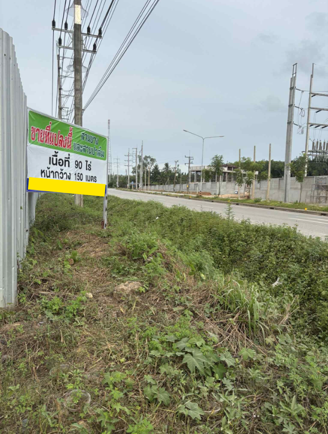 ขายที่ดินแปลงใหญ่ 90 ไร่ | ทำเลทอง อ.เมือง จ.ตรัง