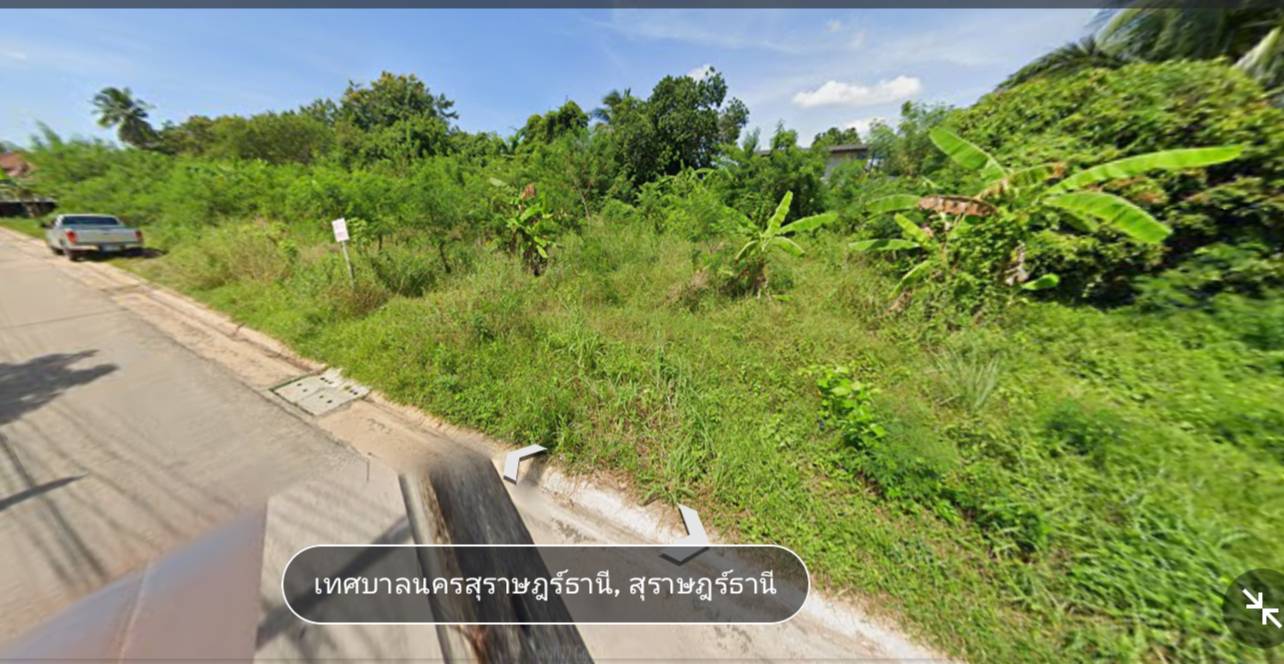 ขายที่ดิน สุราษฎร์ธานี 1-0-48.6 ไร่