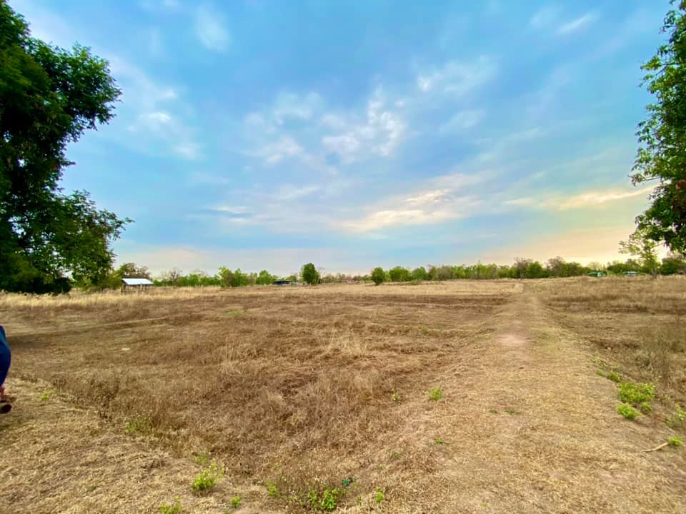ที่ดินเปล่า หนองหาน อุดรธานี 15-0-75