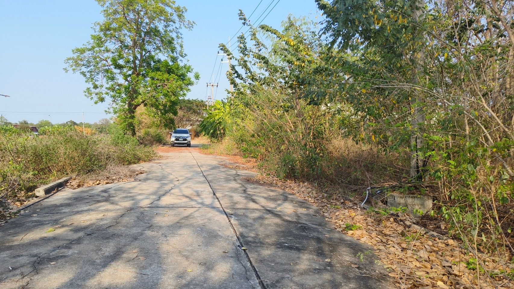 ที่ดินจัดสรรในเขตเทศบาลลาดหลุมแก้ว จ.ปทุมธานี, ปทุมธานี