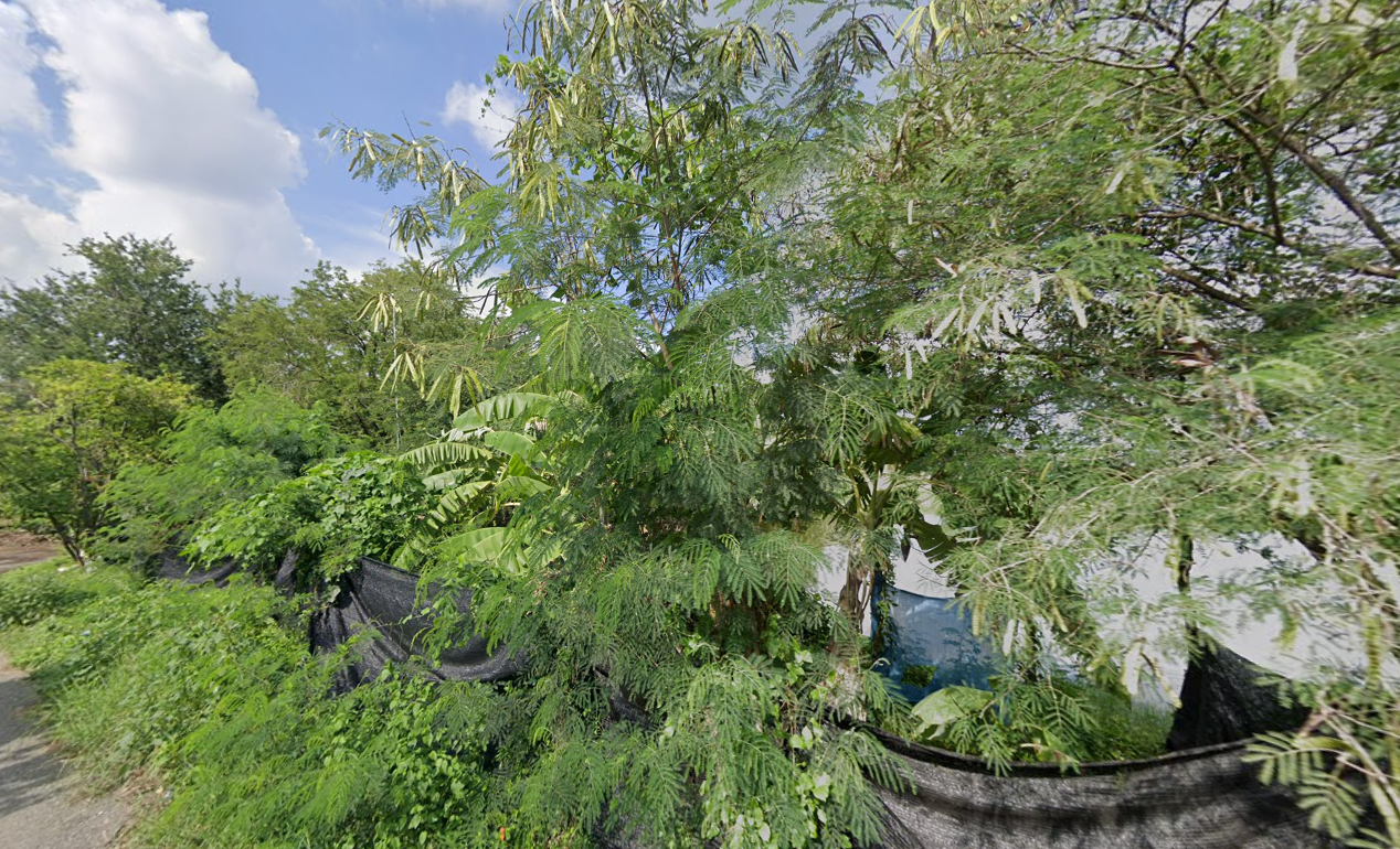 ขายที่ดิน เมืองฉะเชิงเทรา ฉะเชิงเทรา