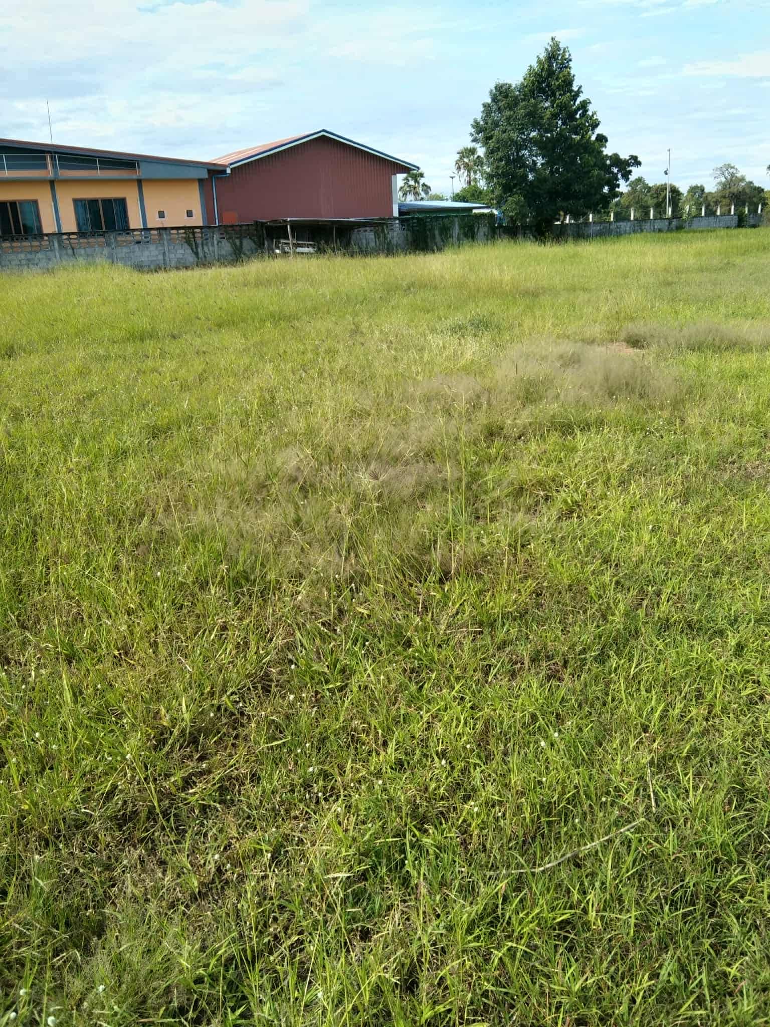 ที่ดินติดถนนเมืองคง-บ้านวัด