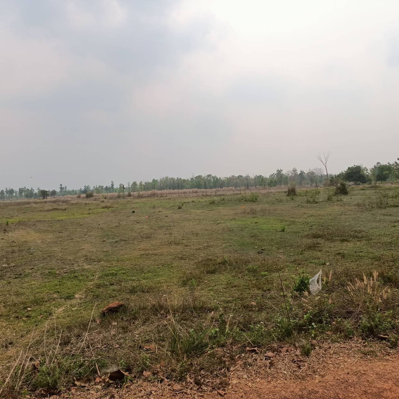 ที่ดินเปล่า อุดรฯ 21-1-34.3