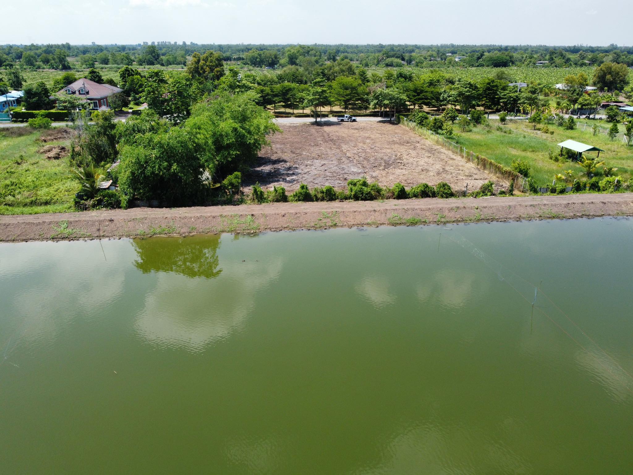 ขายที่ดินปทุมธานี หนองเสือ 0-2-81.9