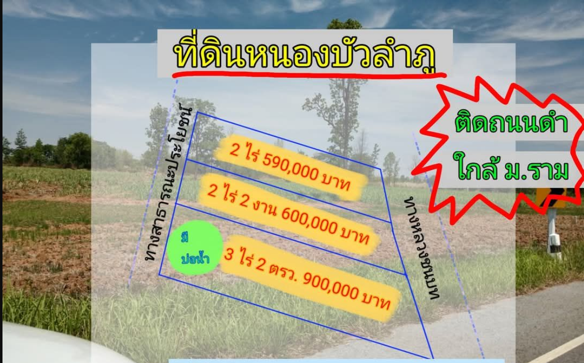 ❌ขายที่ดินหนองบัวลำภู ติดถนนดำ ห่างจาก ม.ราม 4 กิโล 📄โฉนดครุฑแดง📃 มี 3 แปลง ✅แปลงแรก 2 ไร่  590,000 บาท ✅แปลงที่สอง 2 ไร่ 2 งาน 600,000 บาท ✅แปลงที่สาม 3 ไร่ 2 ตรว มีบ่อน้ำ 💧🏄🤽‍♂️🚣‍♂️ 900,000 บาท น้ำไม่ท่วม ไม่มีแผ่นดินไหว ทุกแปลงติดถนนดำ  #ที่ดินไม่แผ่นดินไหว #โฉนดที่ดิน #ที่ดินราคาถูก #รีวิวที่ดิน #ซื้อขายที่ดิน #ที่ดินปลูกบ้าน #ที่ดินจัดสรร #ขายที่ดิน #ที่ดินปลูกบ้านสวน #ที่ดินสวย #ที่ดินเพื่อการลงทุน #ที่ดินปลูกบ้านพักผ่อน #ที่ดินปลูกบ้านพักผ่อน #ที่ดินการเกษตร #ที่ดินน่าลงทุน #บ้านและที่ดิน #ที่ดินเงินผ่อน #ที่ดินพร้อมบ้าน #ที่ดินสร้างบ้าน