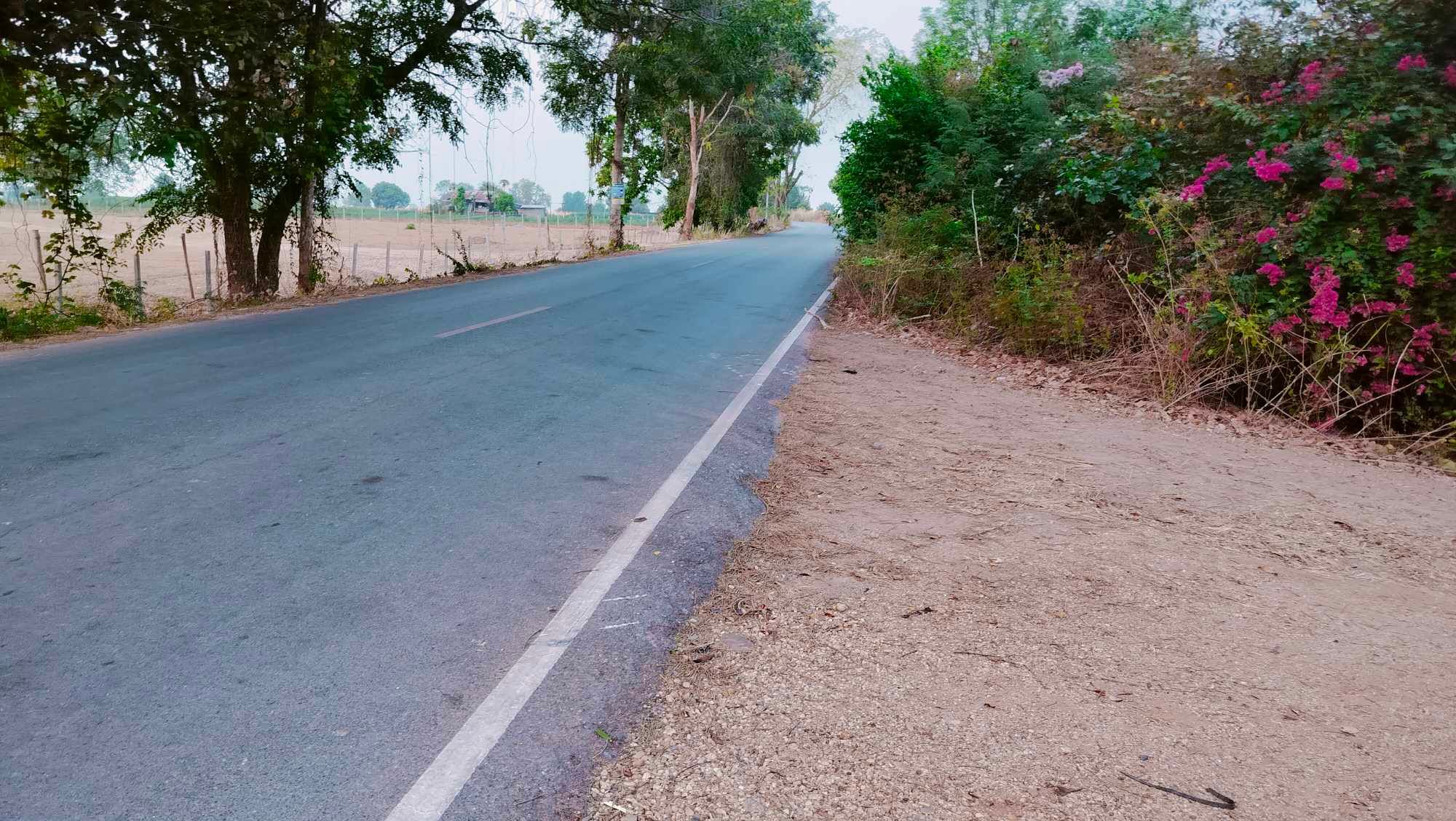 ขายมี่ดิน 19 ไร่ บ้านหนองบัวขาว