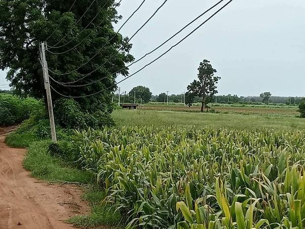 ที่ดินการเกษตร กาญจนบุรี 36-2-8