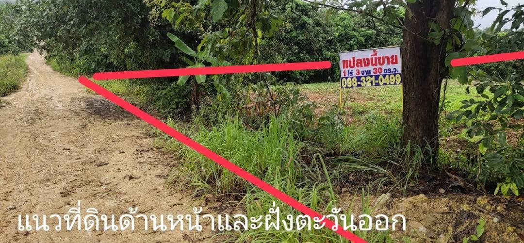 ขายที่ดินลำพูน ทุ่งหัวช้าง 1-3-30.3ไร่