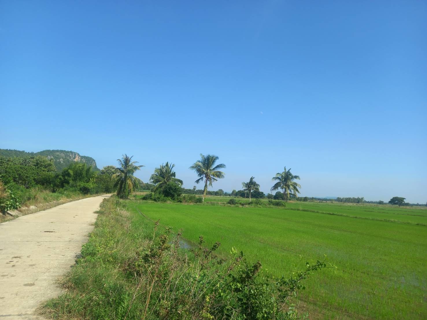 ขายที่ดินกาญจนบุรี เป็นที่นา แปลงสวย ทำเลดี บรรยากาศดี ใกล้บ้านสวนน้ำ น่าลงทุนมาก