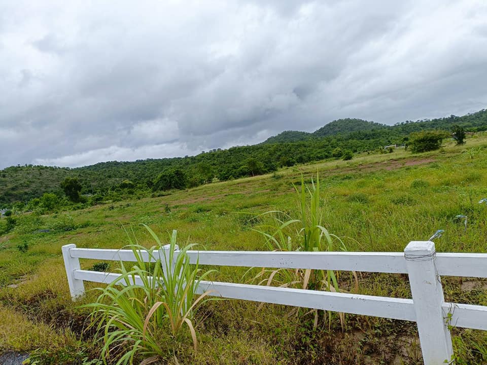 ที่ดินติดทางสาธารณะ เลาขวัญ กาญจนบุรี 2 ไร่