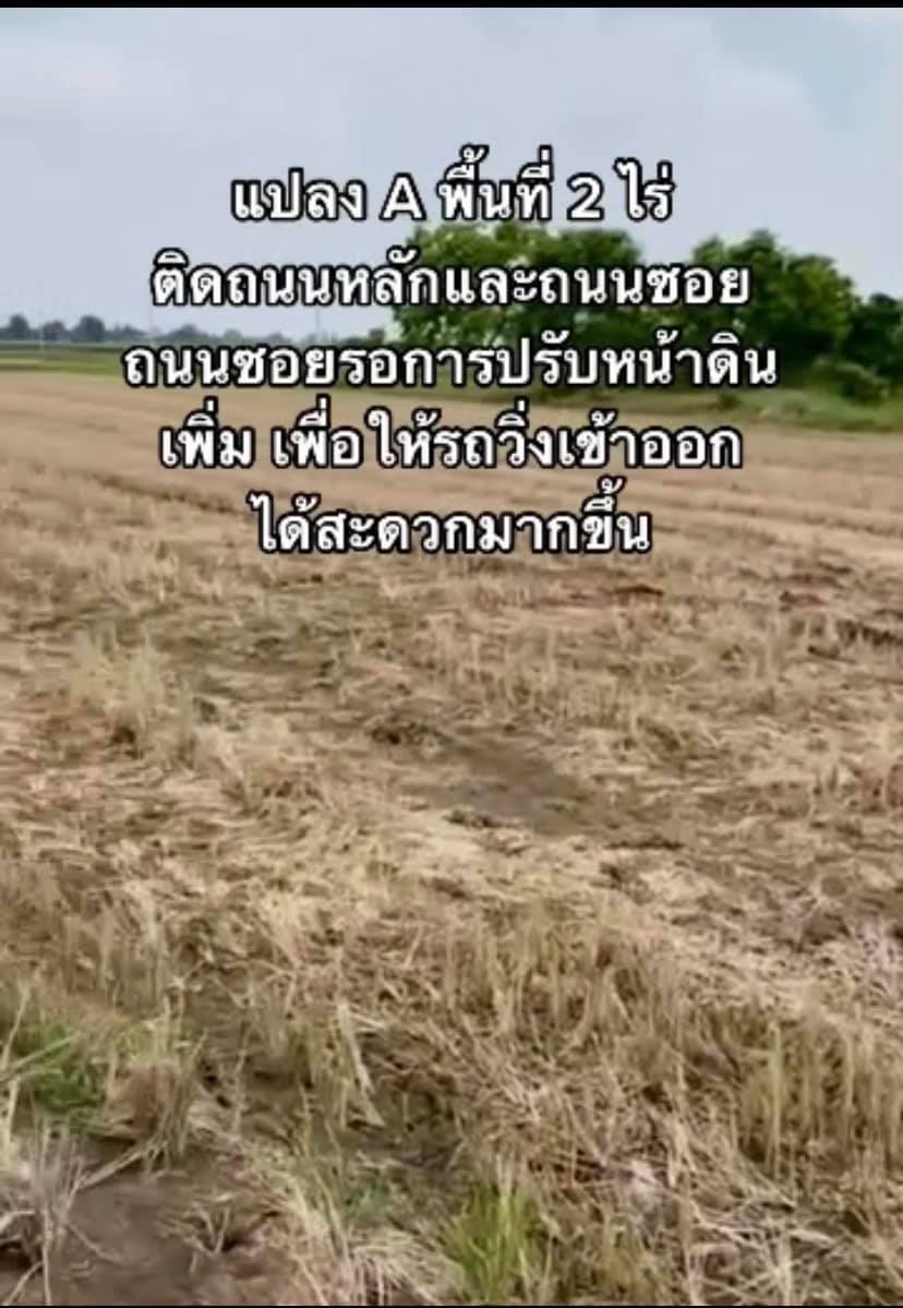 ที่ดินเปล่า แปลงยาว ฉะเชิงเทรา 2 ไร่