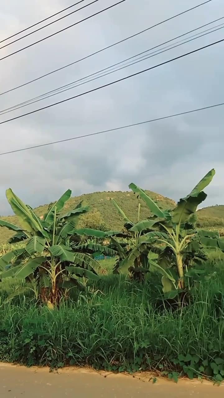 ขายที่ดินอุทัยธานี บ้านไร่ 1-0-51