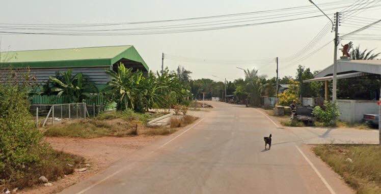 ที่ดิน เหมาะสำหรับทำโกดัง โรงงาน คลังสินค้า สมุทรสงคราม 2-3-29 ไร่