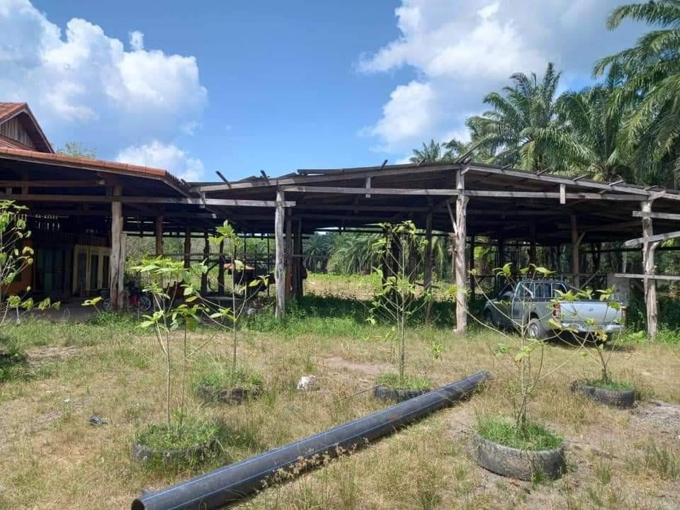 บ้านพร้อมที่ดิน
