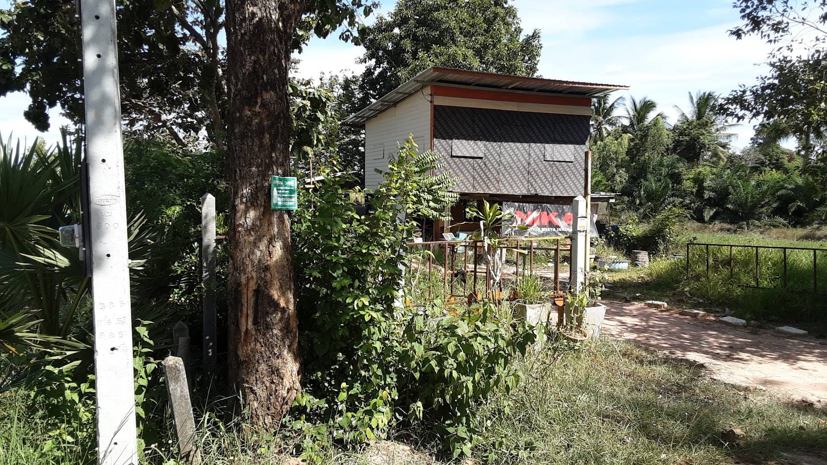 บ้านพร้อมที่ดิน