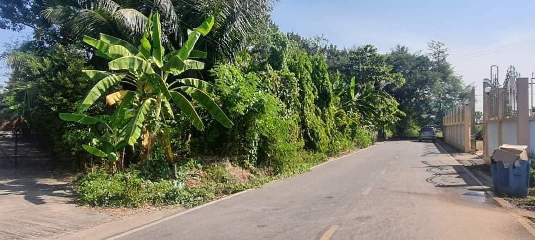 ขายที่ดินใกล้เซ็นทรัล เวสต์วิลล์
