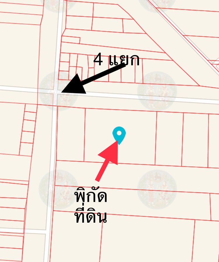 ที่ดินติดถนนคอนกรีต 100 เมตร