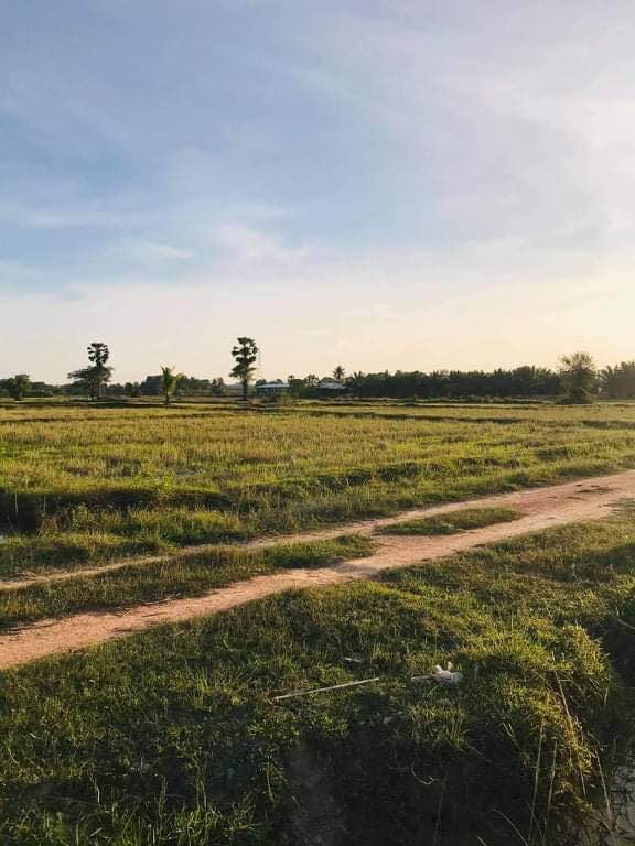 ที่ดินนาพร้อม สร้างบ้านจัดสรร หลังสวนน้ำลพบุรีราเมศร์ สงขลา 1-2-49