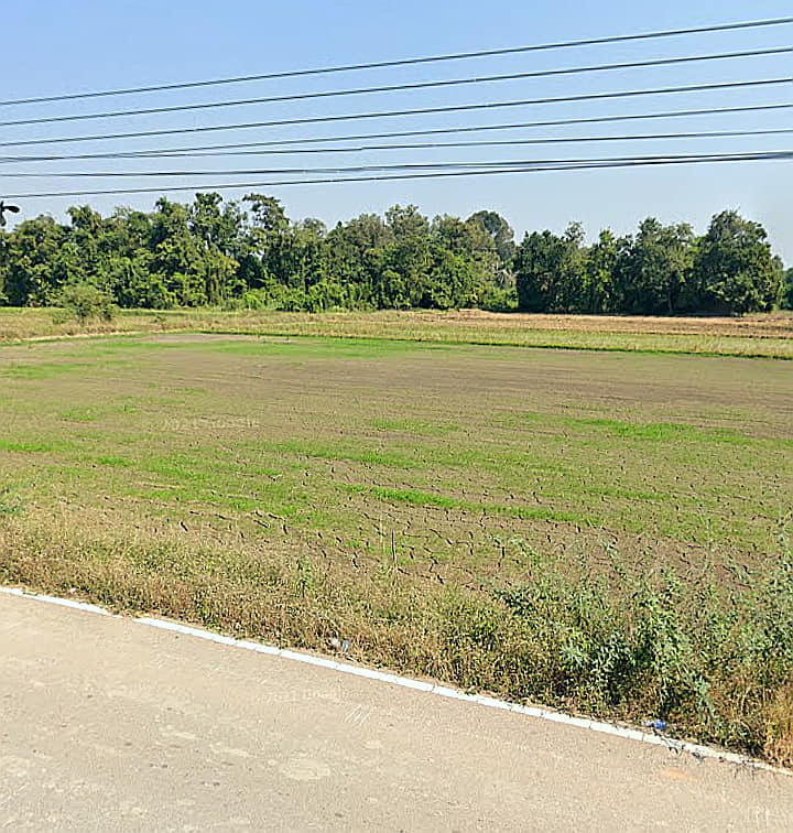 ที่นาแปลงสวย อุตรดิตถ์ 10-1-53