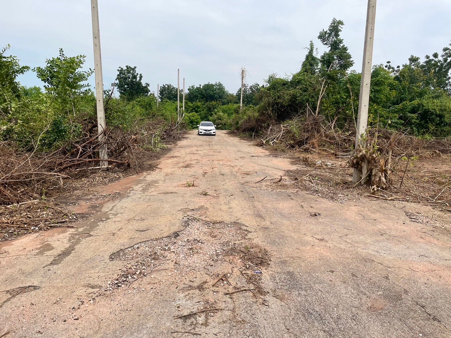 ขายที่ดิน