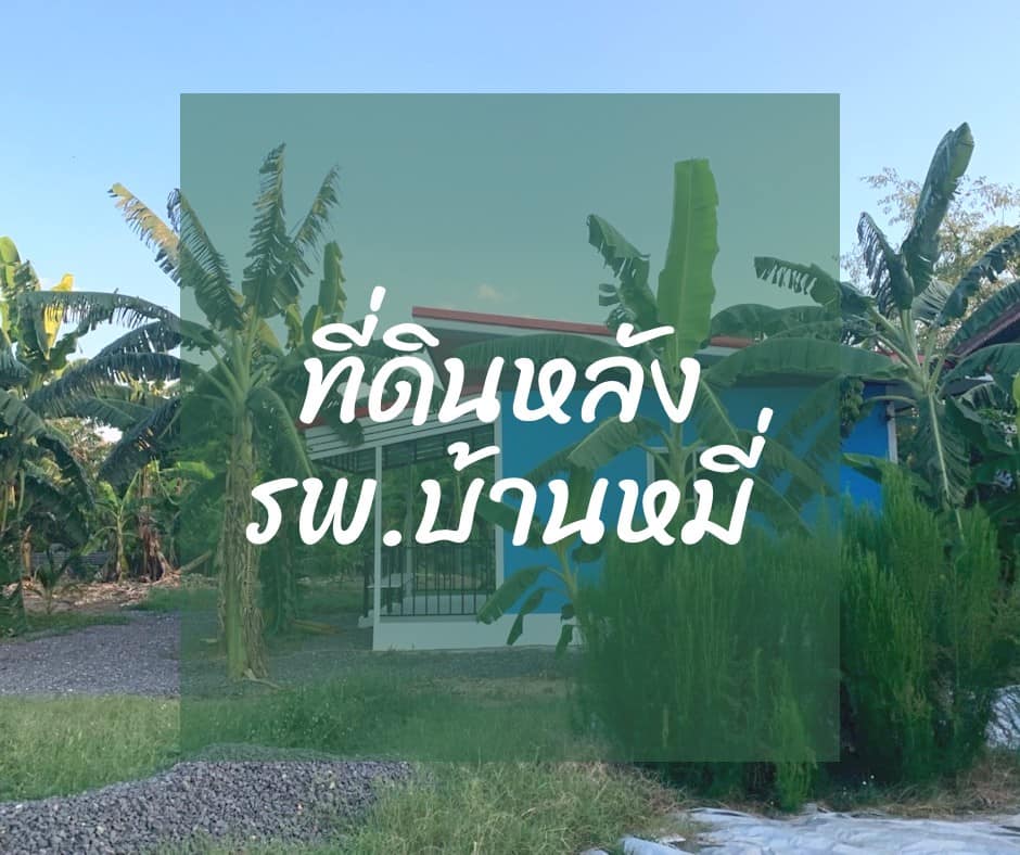 ที่ดินหลังรพ.บ้านหมี่ อ.บ้านหมี่ 0-2-40
