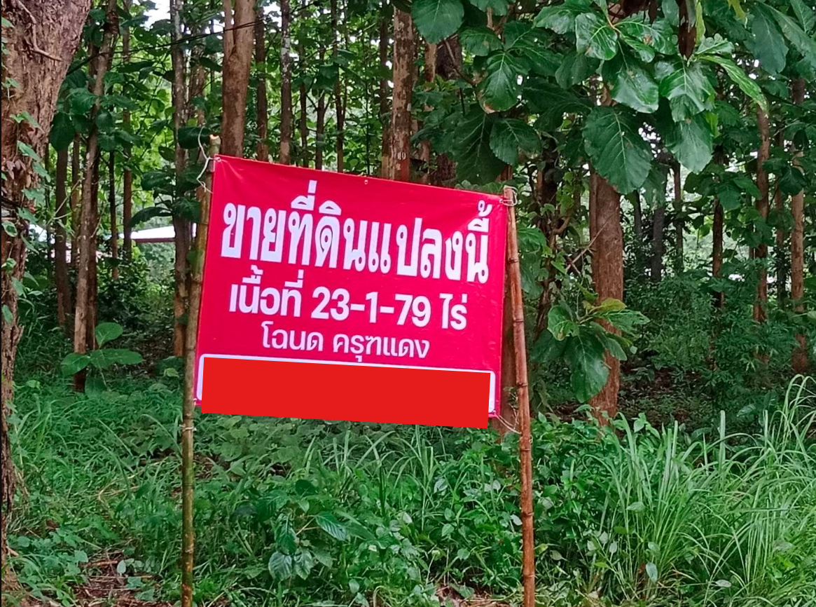 ขายที่ดินสวนยาง 23-1-78 ไร่ โฉนดครุฑแดง อ.ภูเรือ จ.เลย