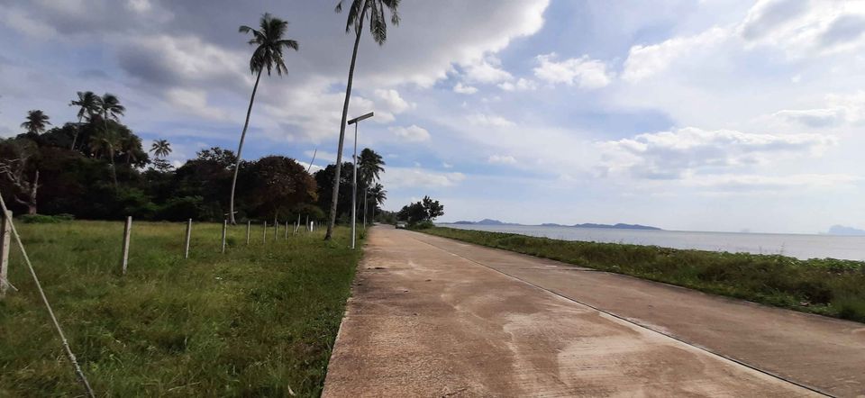 ที่ดินติดชาดหาด หาดสำราญ ตรัง 2-0-87.5 ไร่