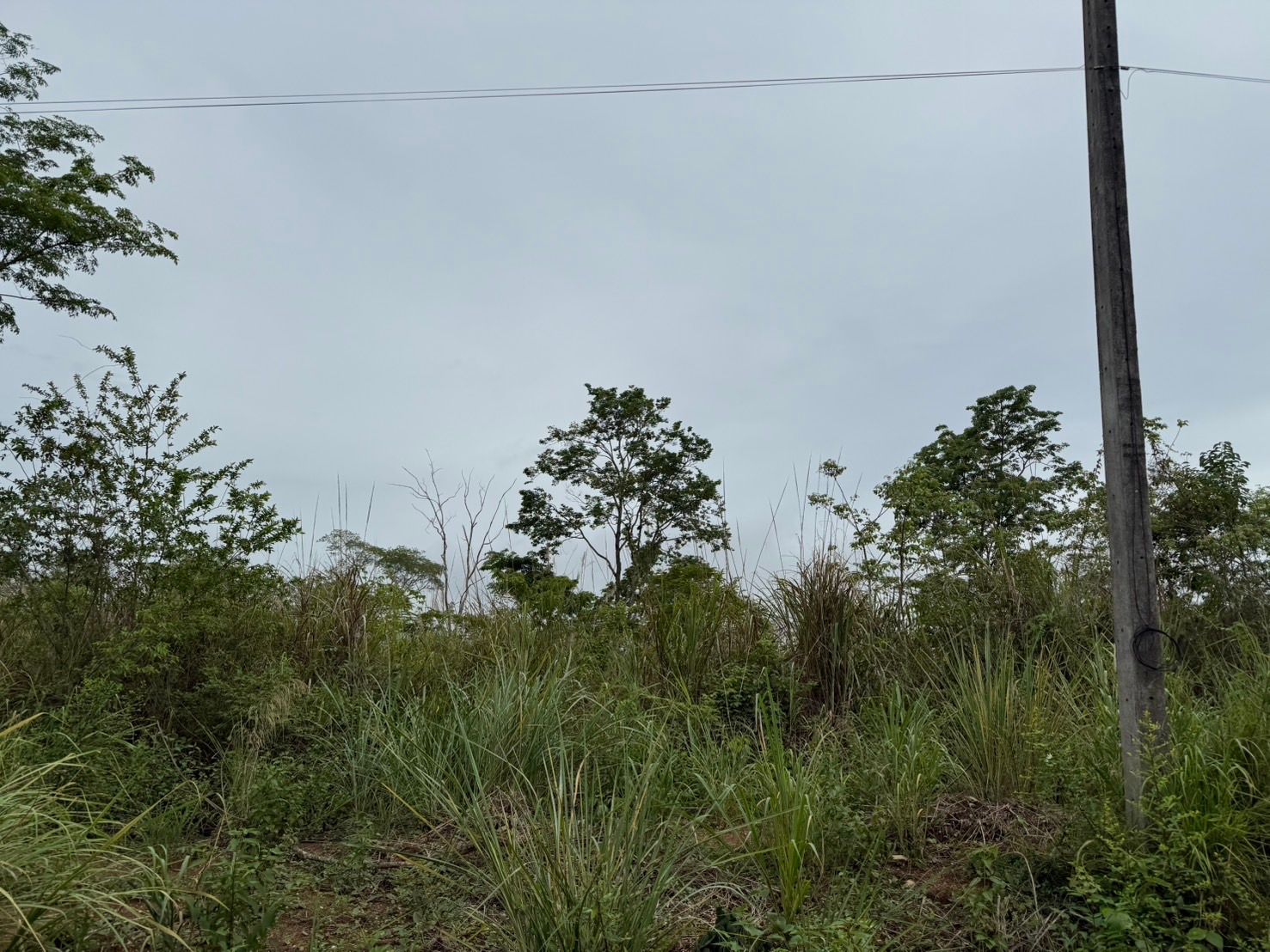 ที่ดินทำเลดี ใกล้ถนนใหญ่ อ.โป่งน้ำร้อน จันทบุรี